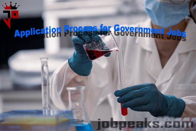 Application Process for Government Jobs picture 