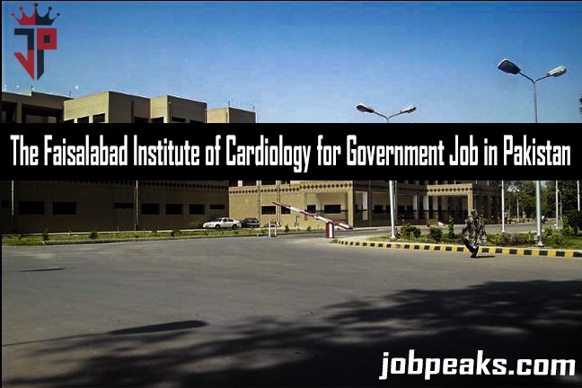 The Best Government Job Opportunities at Faisalabad Institute of Cardiology in Pakistan