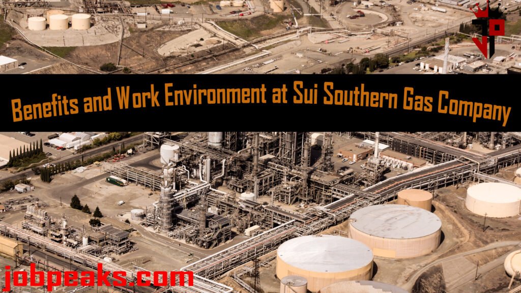  Sui Southern Gas Company (SSGC) in picture 