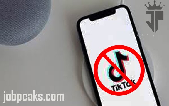 No.1 TikTok videos picture