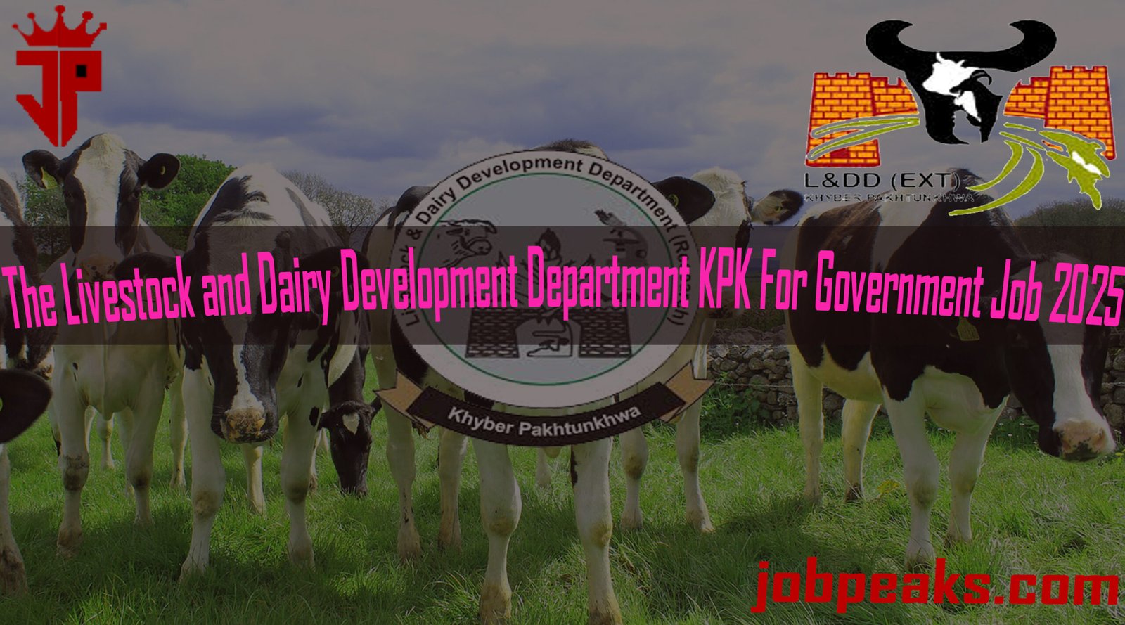 Exploring Job Opportunities in the Livestock and Dairy Development Department KPK for 2025